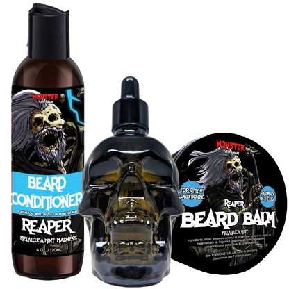 Beard Care Mini Kit